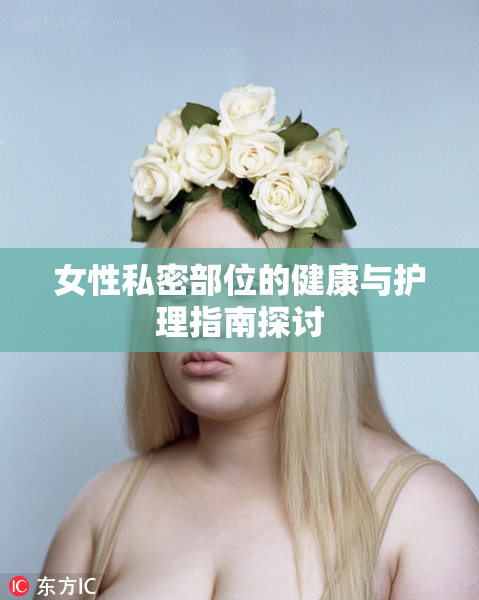 女性私密部位的健康与护理指南探讨