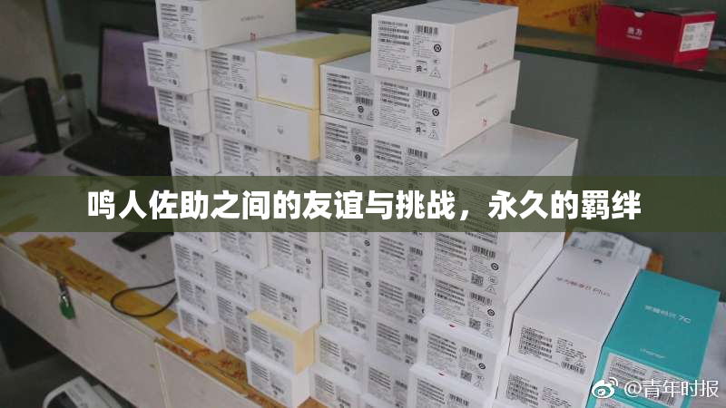 鸣人佐助之间的友谊与挑战，永久的羁绊