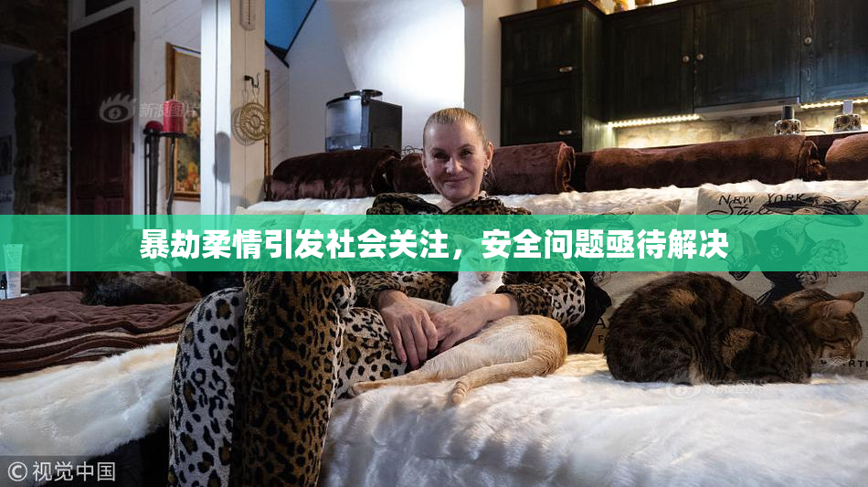 暴劫柔情引发社会关注，安全问题亟待解决