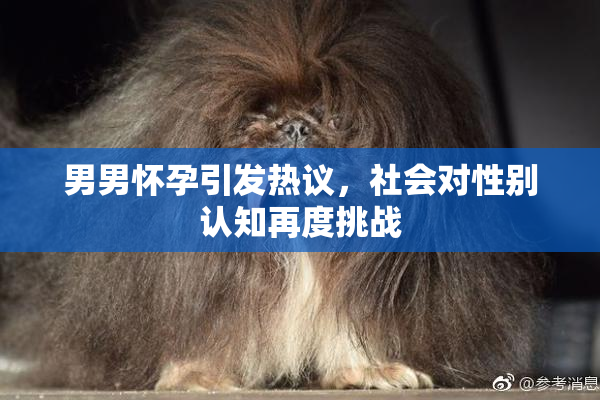 男男怀孕引发热议，社会对性别认知再度挑战