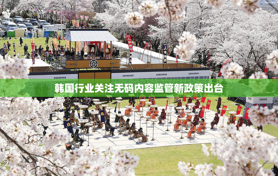 韩国行业关注无码内容监管新政策出台