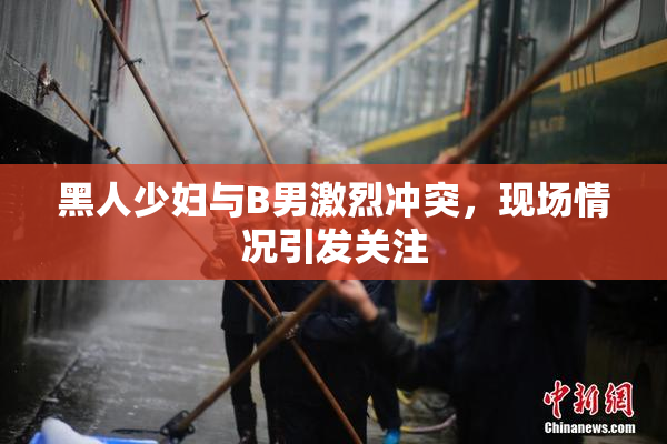 黑人少妇与B男激烈冲突，现场情况引发关注