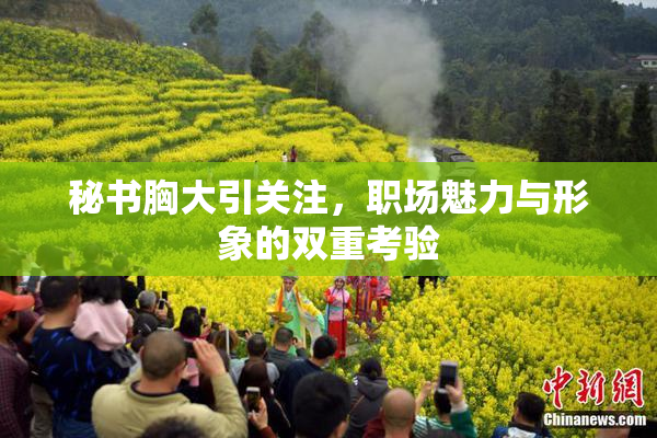 秘书胸大引关注，职场魅力与形象的双重考验