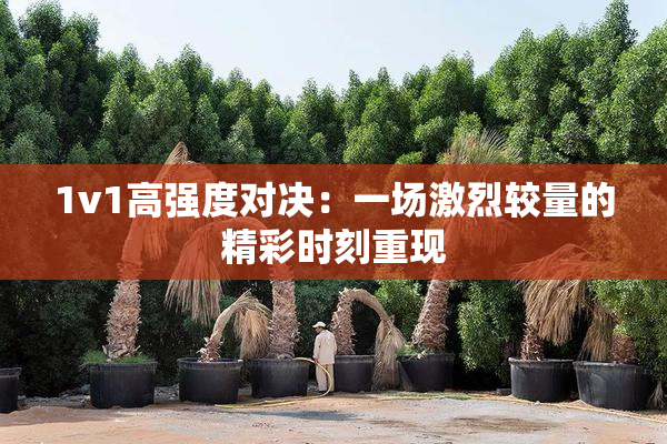 1v1高强度对决：一场激烈较量的精彩时刻重现