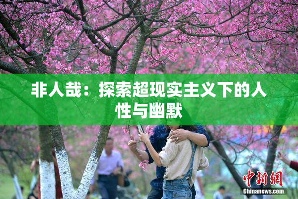 非人哉：探索超现实主义下的人性与幽默