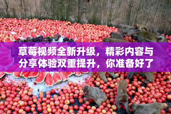 草莓视频全新升级，精彩内容与分享体验双重提升，你准备好了吗？