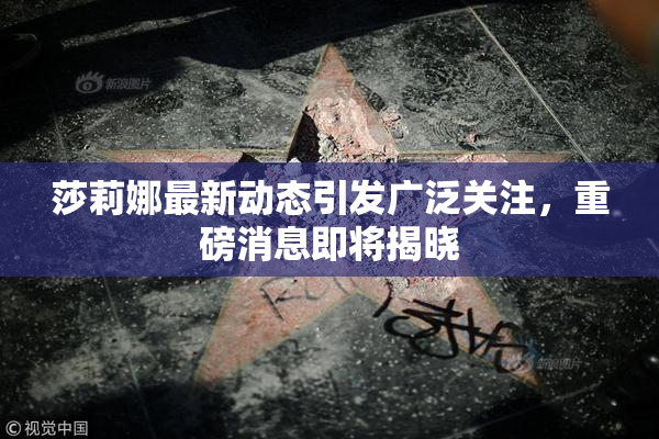 莎莉娜最新动态引发广泛关注，重磅消息即将揭晓