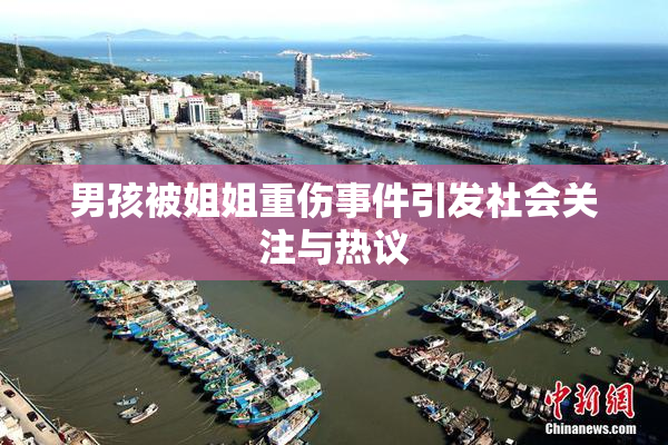 男孩被姐姐重伤事件引发社会关注与热议