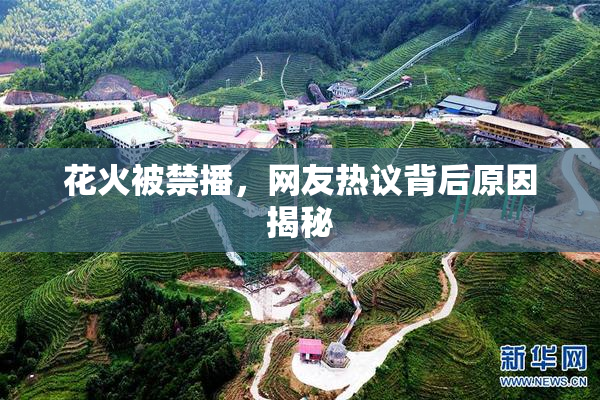 花火被禁播，网友热议背后原因揭秘