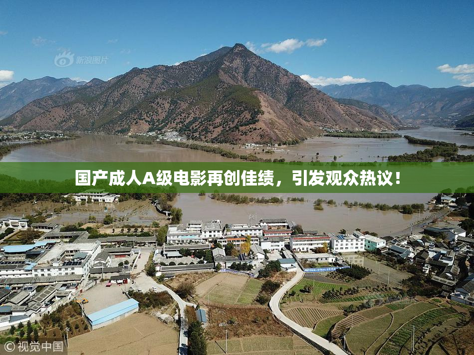 国产成人A级电影再创佳绩，引发观众热议！