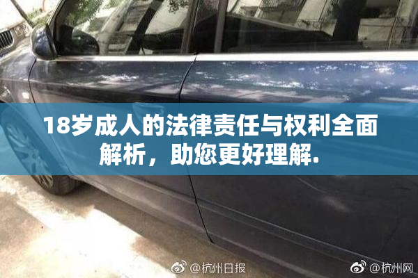 18岁成人的法律责任与权利全面解析，助您更好理解.