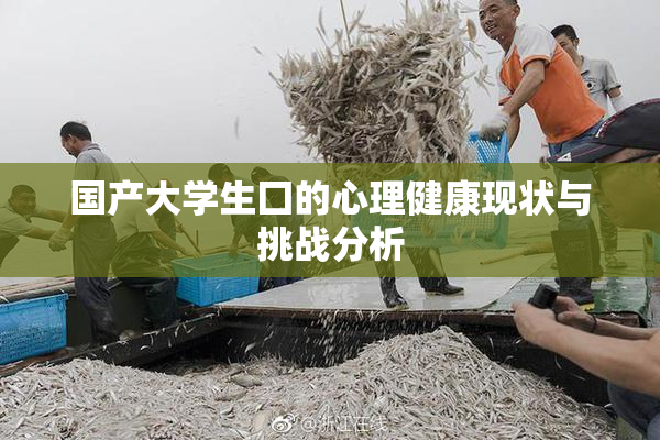 国产大学生囗的心理健康现状与挑战分析