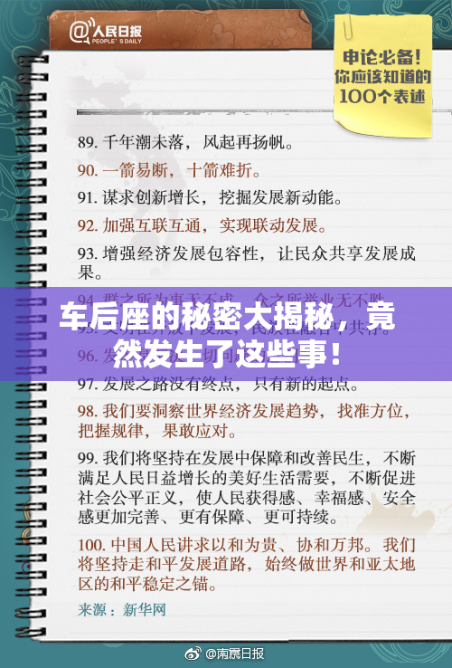 车后座的秘密大揭秘，竟然发生了这些事！
