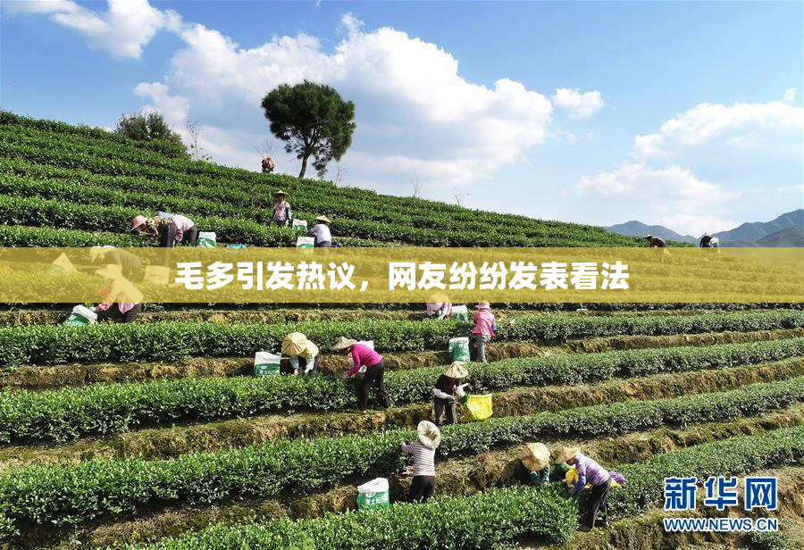毛多引发热议，网友纷纷发表看法