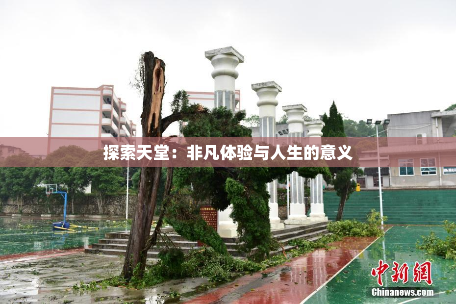 探索天堂：非凡体验与人生的意义