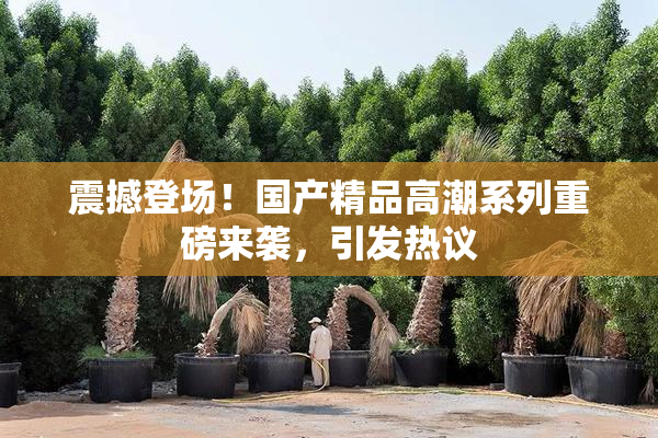 震撼登场！国产精品高潮系列重磅来袭，引发热议