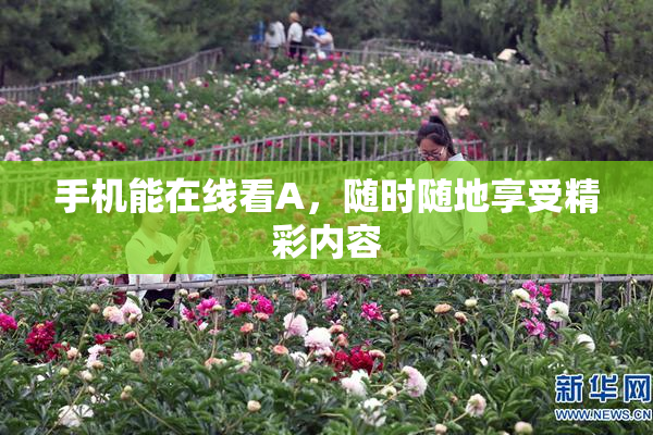 手机能在线看A，随时随地享受精彩内容