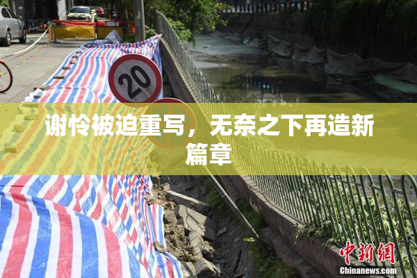 谢怜被迫重写，无奈之下再造新篇章