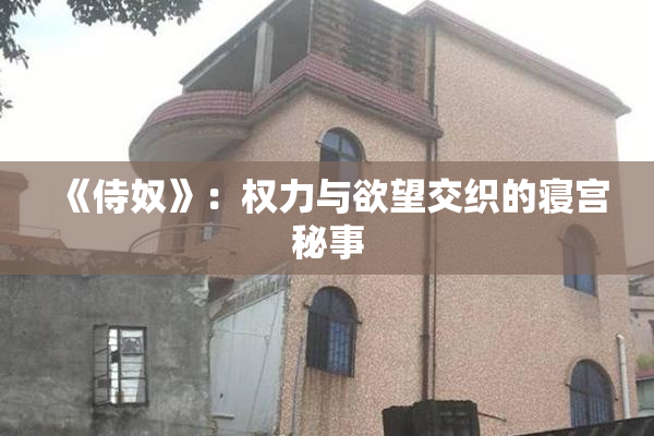 《侍奴》：权力与欲望交织的寝宫秘事