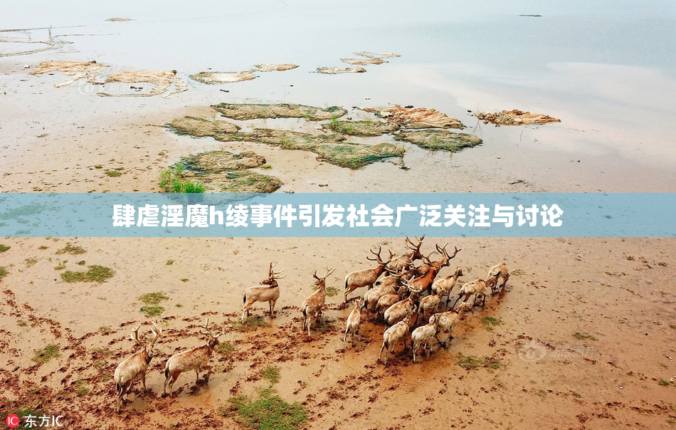 肆虐淫魔h绫事件引发社会广泛关注与讨论