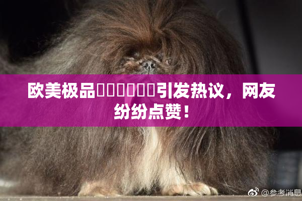 欧美极品❌‌❌‌❌‌引发热议，网友纷纷点赞！