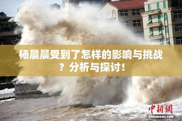 杨晨晨受到了怎样的影响与挑战？分析与探讨！