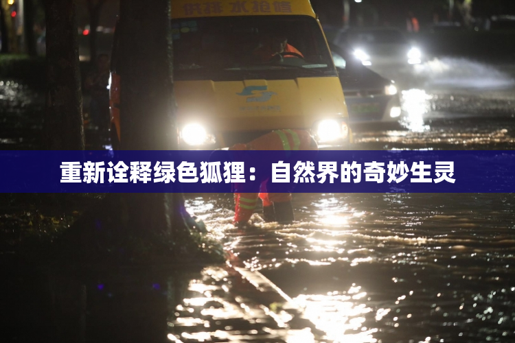 重新诠释绿色狐狸：自然界的奇妙生灵