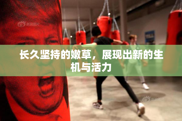 长久坚持的嫩草，展现出新的生机与活力