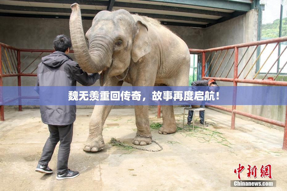 魏无羡重回传奇，故事再度启航！