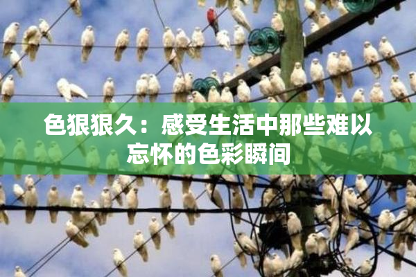 色狠狠久：感受生活中那些难以忘怀的色彩瞬间