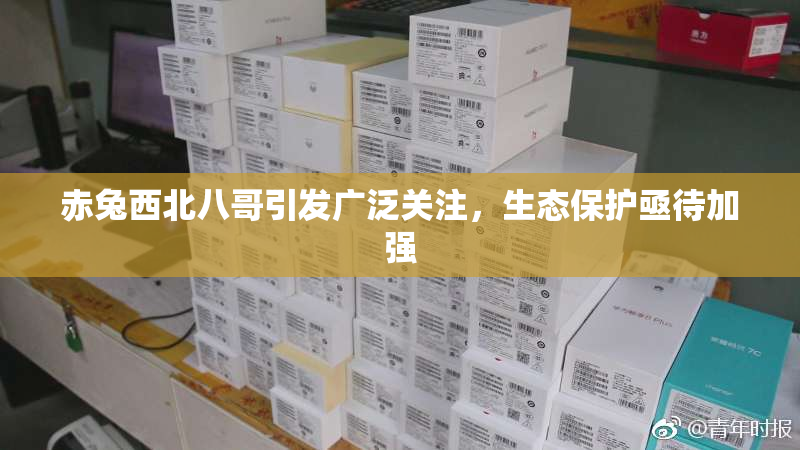 赤兔西北八哥引发广泛关注，生态保护亟待加强