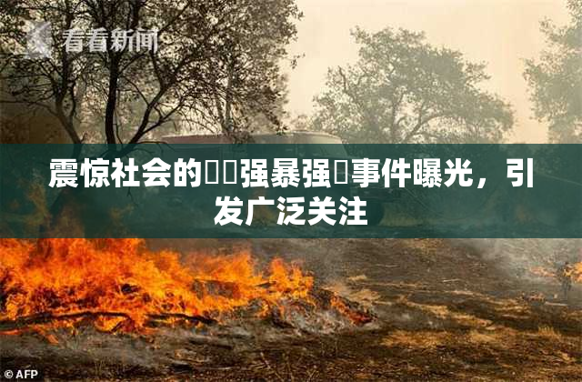 震惊社会的亂倫强暴强姦事件曝光，引发广泛关注