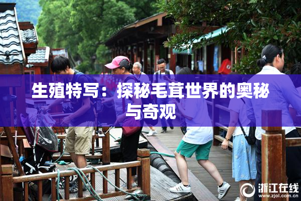生殖特写：探秘毛茸世界的奥秘与奇观