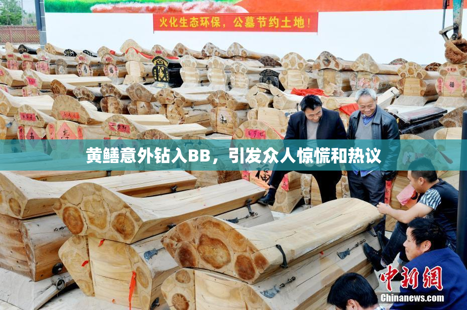 黄鳝意外钻入BB，引发众人惊慌和热议