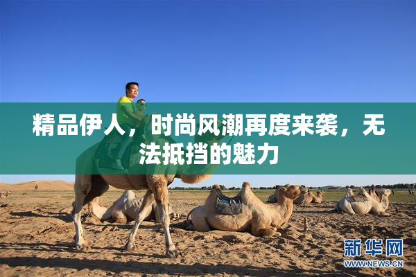 精品伊人，时尚风潮再度来袭，无法抵挡的魅力