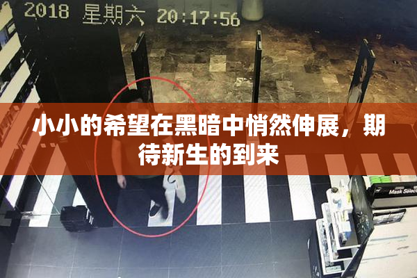 小小的希望在黑暗中悄然伸展，期待新生的到来