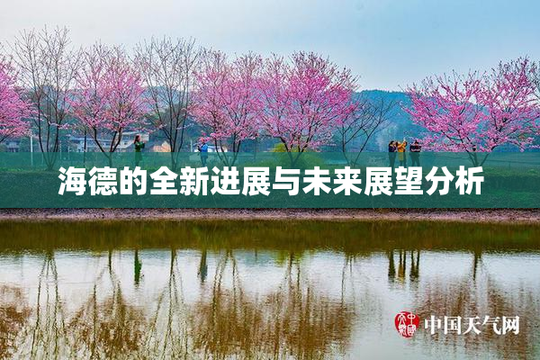 海德的全新进展与未来展望分析