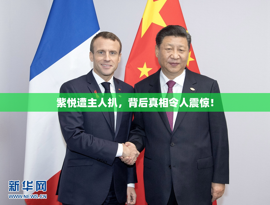 紫悦遭主人扒，背后真相令人震惊！
