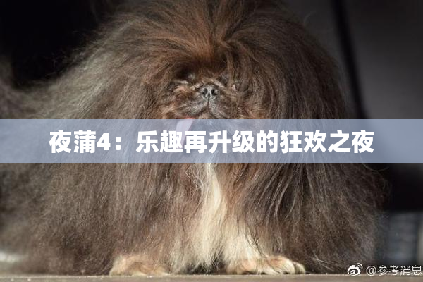 夜蒲4：乐趣再升级的狂欢之夜