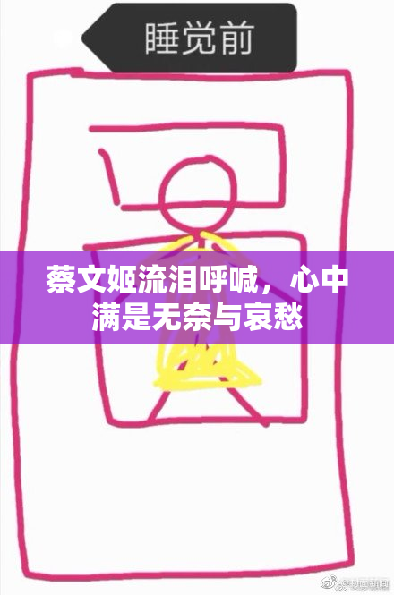 蔡文姬流泪呼喊，心中满是无奈与哀愁