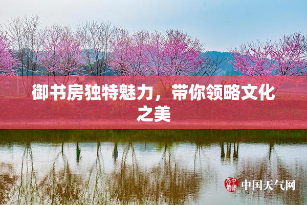 御书房独特魅力，带你领略文化之美