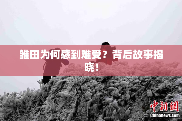 雏田为何感到难受？背后故事揭晓！