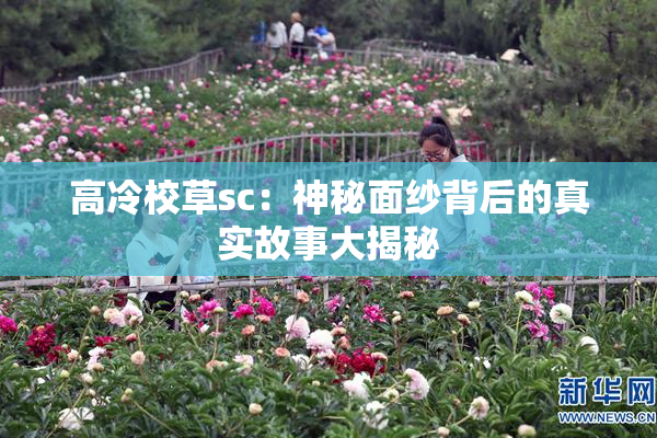 高冷校草sc：神秘面纱背后的真实故事大揭秘