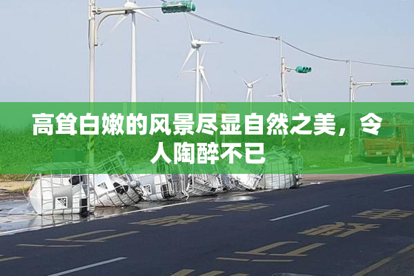 高耸白嫩的风景尽显自然之美，令人陶醉不已
