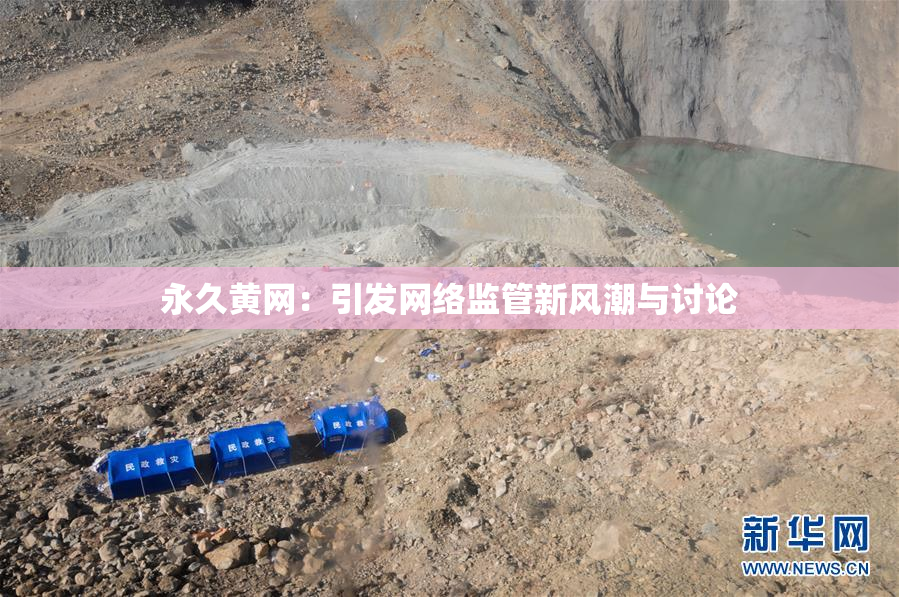 永久黄网：引发网络监管新风潮与讨论