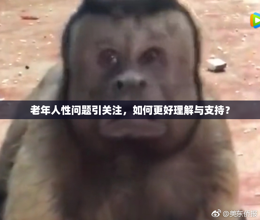 老年人性问题引关注，如何更好理解与支持？