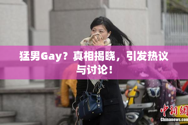 猛男Gay？真相揭晓，引发热议与讨论！