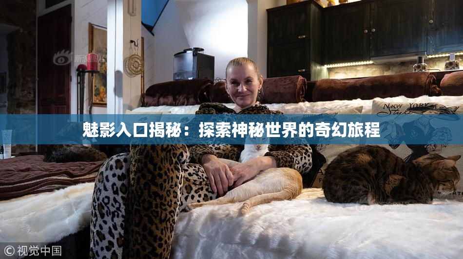 魅影入口揭秘：探索神秘世界的奇幻旅程