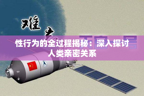性行为的全过程揭秘：深入探讨人类亲密关系