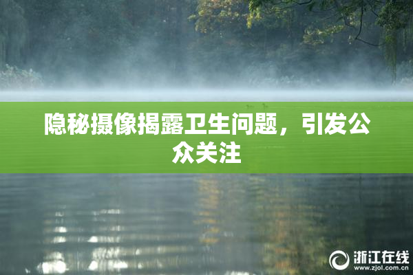 隐秘摄像揭露卫生问题，引发公众关注